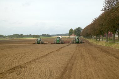 Drilled beet field