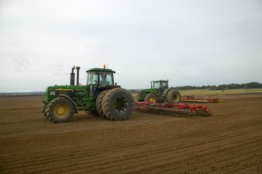 Drilled beet field