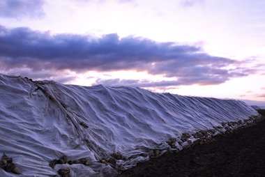 Beet Heap in Winter, Northern Germany, 12/2009