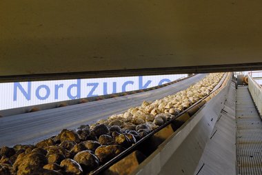 Beet logistics atNordzucker Nordstemmen Plant, Germany, 12/2009