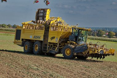 Sugar Beet Harvest in Northern Germany, 10/2011