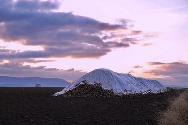 Beet Heap in Winter, Northern Germany, 12/2009