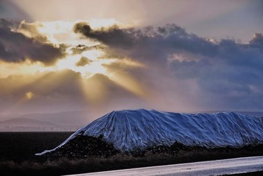 Beet Heap in Winter, Northern Germany, 12/2009