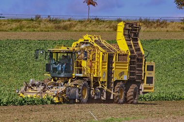 Sugar Beet Harvest in Northern Germany, 10/2011