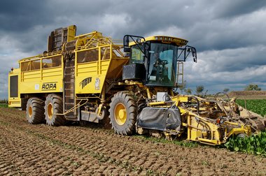 Sugar Beet Harvest in Northern Germany, 10/2011