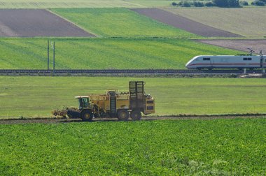 Sugar Beet Harvest in Northern Germany, 10/2011