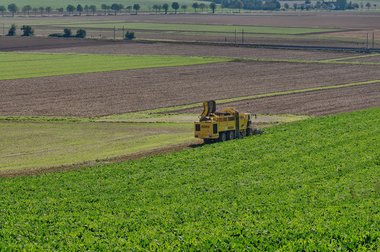 Sugar Beet Harvest in Northern Germany, 10/2011