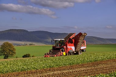 Sugar Beet Harvest in Northern Germany, 2010