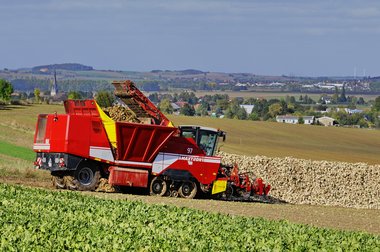 Sugar Beet Harvest in Northern Germany, 2010