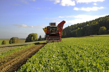 Sugar Beet Harvest in Northern Germany, 2010