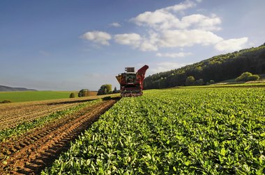 Sugar Beet Harvest in Northern Germany, 2010