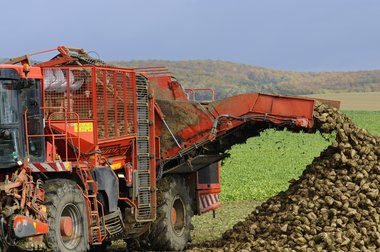 Sugar Beet Harvest in Northern Germany, 2010