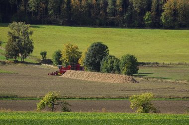 Sugar Beet Harvest in Northern Germany, 2010