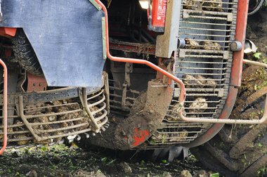 Sugar Beet Harvest in Northern Germany, 2010
