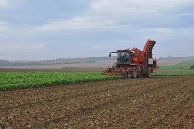 Beet Harvest and Beet Logistics in Northern Germany, 2011