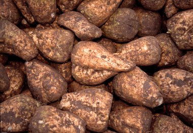 Sugar beet in a pile