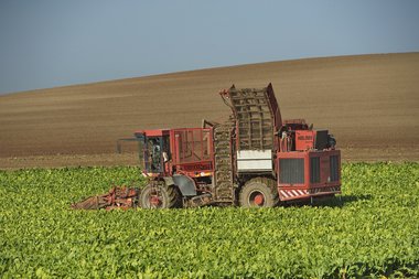 201210_Sugar_beet_harvest