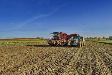 201210_Sugar_beet_harvest