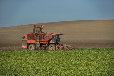 201210_Sugar_beet_harvest