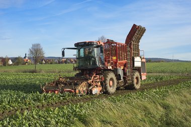 201210_Sugar_beet_harvest