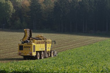 Beet Harvest during the 2011 campaign