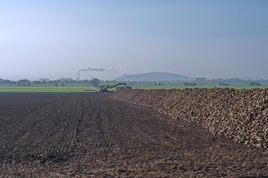 Beet logistics during the 2011 campaign in Northern Germany