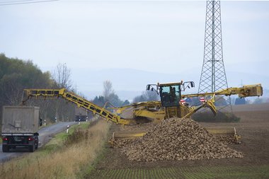 201210_Sugar_beet_harvest