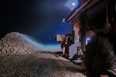 Beet Harvest during the 2011 campaign