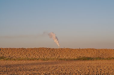 Beet heap during the 2011 campaign in Northern Germany