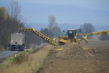 201210_Sugar_beet_harvest