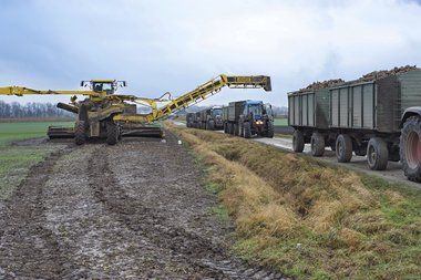 20130107_Beet_logistics