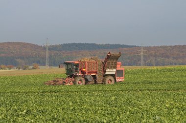 201210_Sugar_beet_harvest