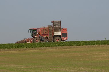 201210_Sugar_beet_harvest