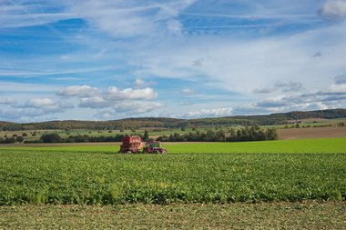 201210_Sugar_beet_harvest