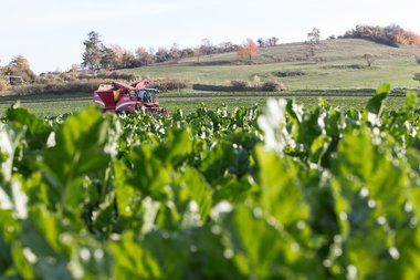 20131022_Nordstemmen_campaign