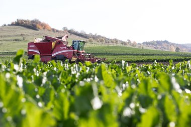 20131022_Nordstemmen_campaign