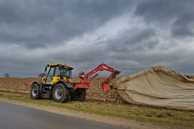 201112_Covering_of_beet_heaps