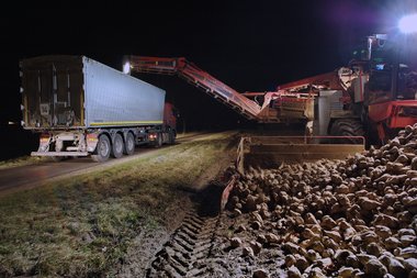 201112_Loading_Mouse