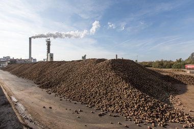 20131022_Nordstemmen_campaign