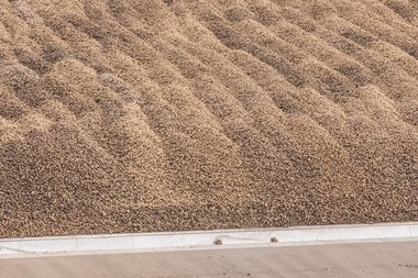 Beet Yard Klein Wanzleben