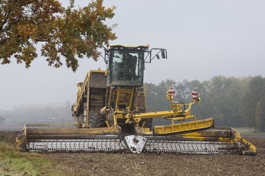 Beet loading & cleaning