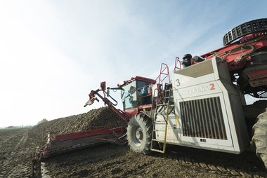 Beet loading & cleaning