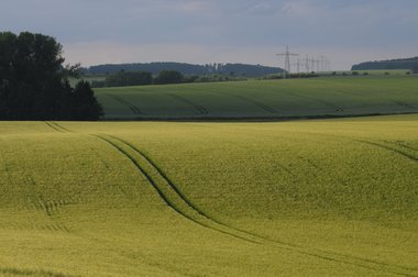 Crop field in Germany