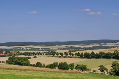 Wheat Fields in Northern Germany, 09/2008