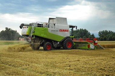 Wheat Fields in Northern Germany, 09/2008