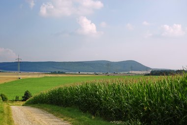 Corn Fields in Northern Germany, 09/2008