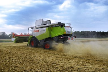 Wheat Fields in Northern Germany, 09/2008