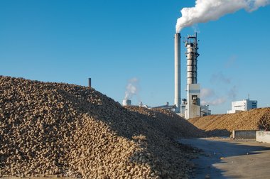 Nordstemmen plant, Germany, during the 2011 campaign