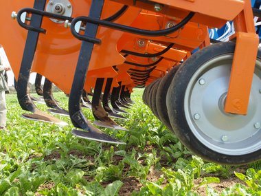 Organic weed control