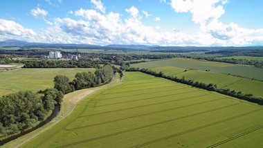 Fields near Schladen